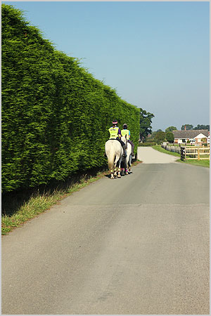 Cockshades Farm